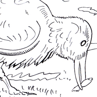 fishing bird picture