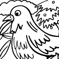 bird coloring pages