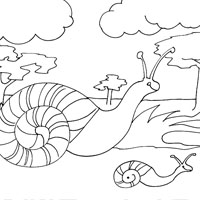 Snails coloring pages