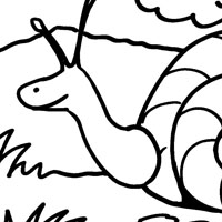 Snail coloring pages