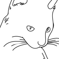 Domestic animal coloring pages