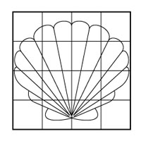 shell coloring page