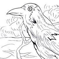 crow coloring design