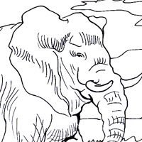 elephant page for kids