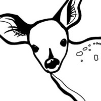 Fawn coloring page