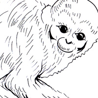 mono coloring pic