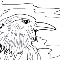 motmot coloring picture