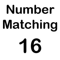 playing number matching