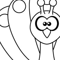 Peacock coloring page