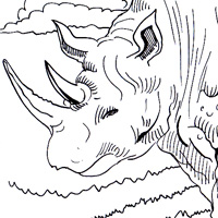 rhinoceros coloring book