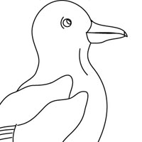 Sea coloring page