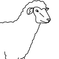 Sheep coloring page