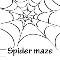 spider maze