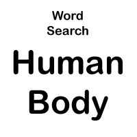 word search body