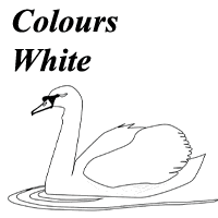 white coloring page