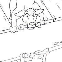 the dog and his shadow