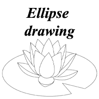 ellipse water lilly