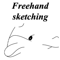 free hand dolphin