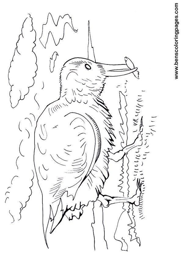bird fishing coloring picture print