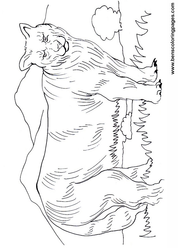 Cougar free coloring pages