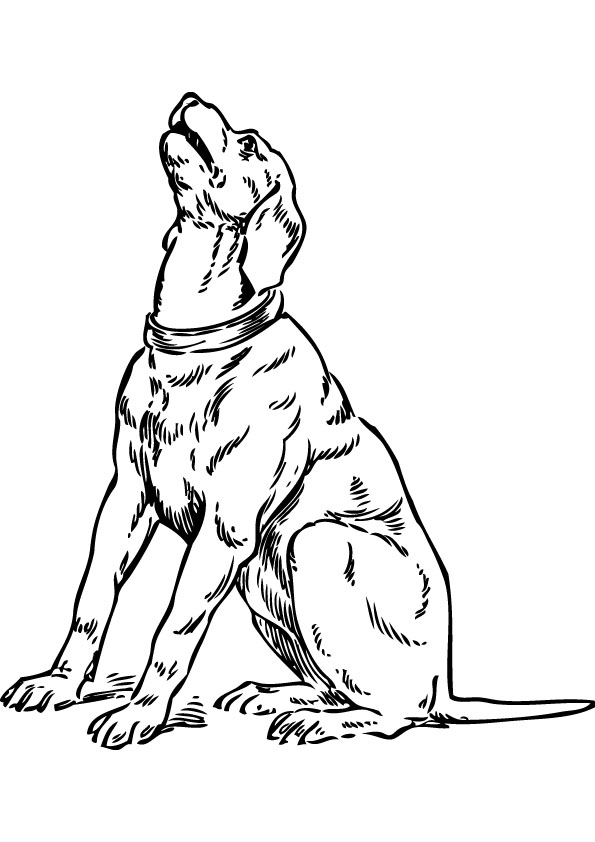 dog coloring picture for free