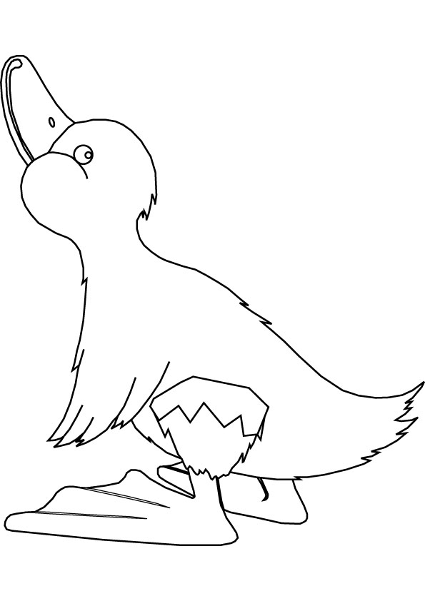 download free duckling drawing page