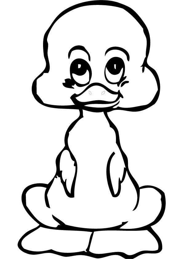 download free baby duck drawing page