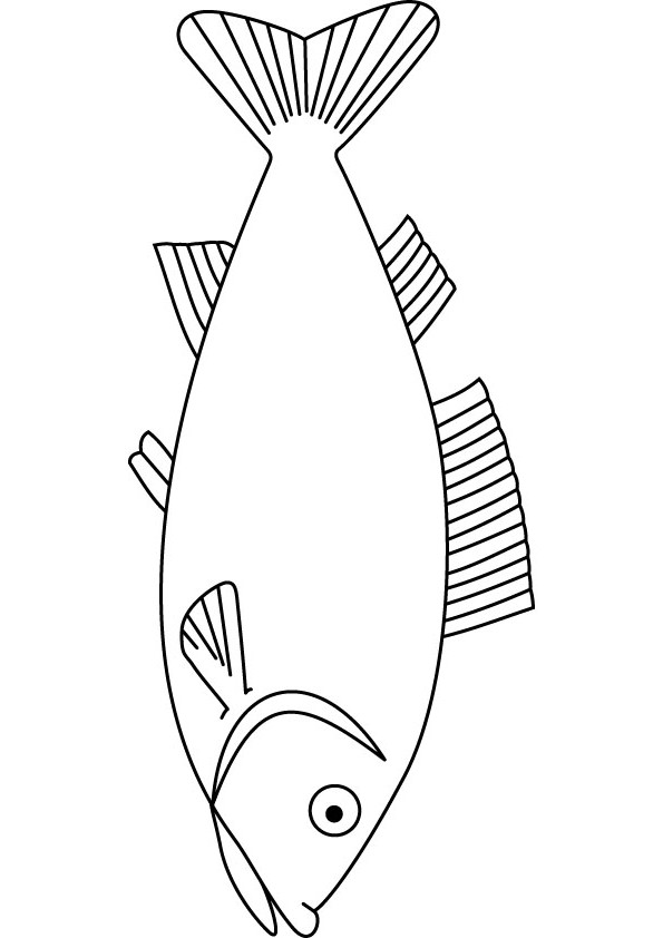 download free fish drawing page