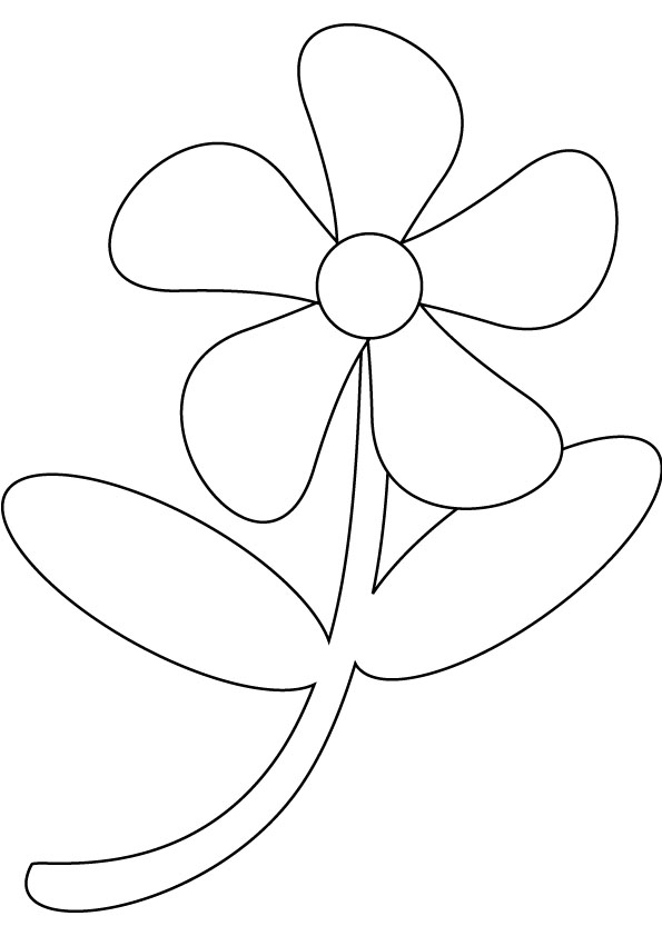 download free flower drawing page