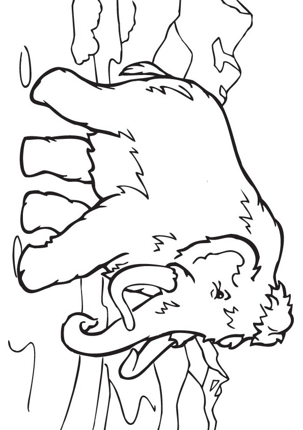 Big Mammoth drawing page