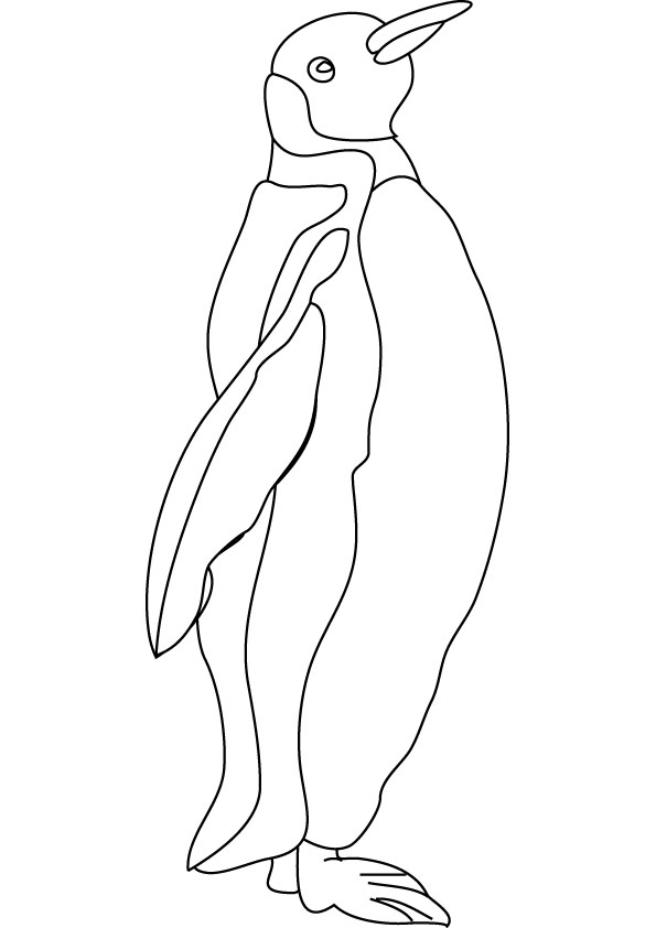 Penguin coloring page for kids