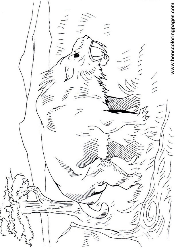 Smilodon pics for kids