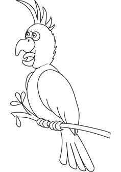 cheeky parrot drawing book