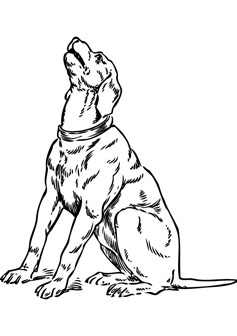 dog drawing page