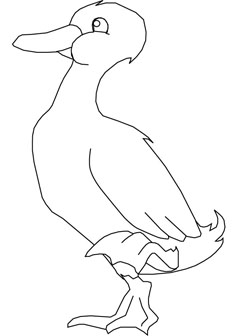 duck walking drawing book