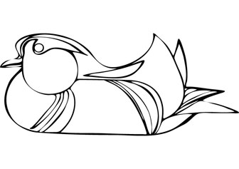 duck swimming drawing book