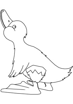 duckling drawing book