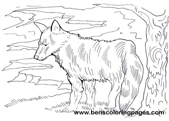 fox coloring for kids