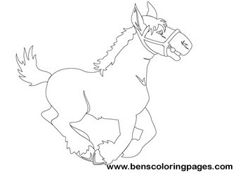 horse drawing book