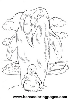 penguin coloring pages