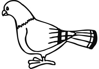 Pigeon kids coloring pages