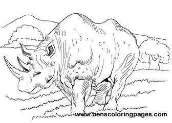 rhino coloring sheet