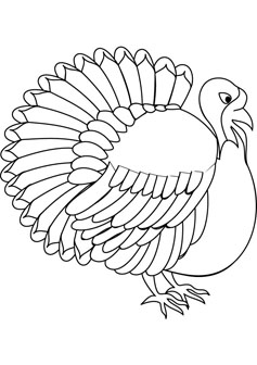turkey coloring pages for kids