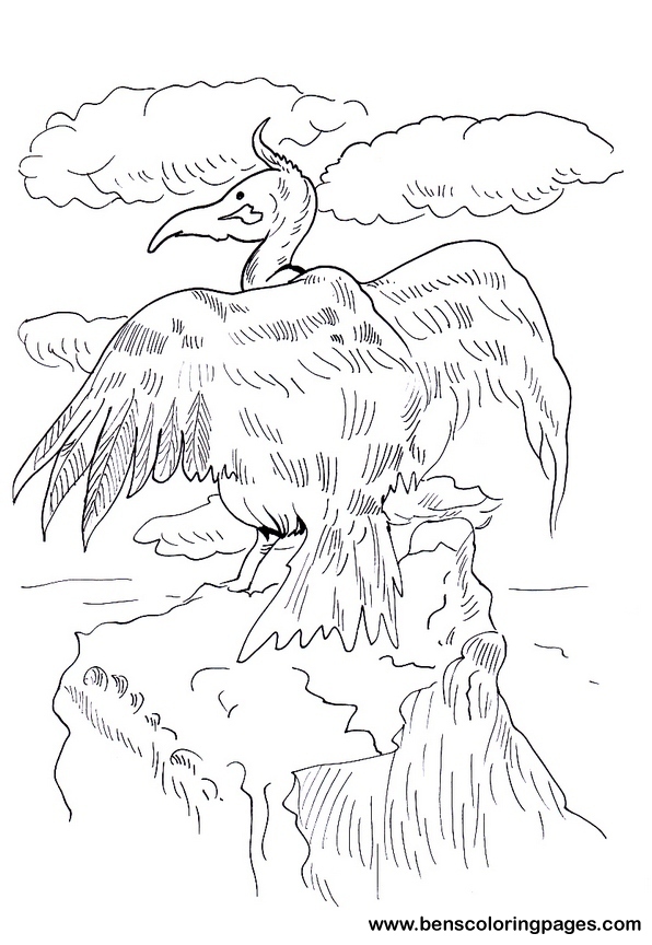 vulture coloring picture