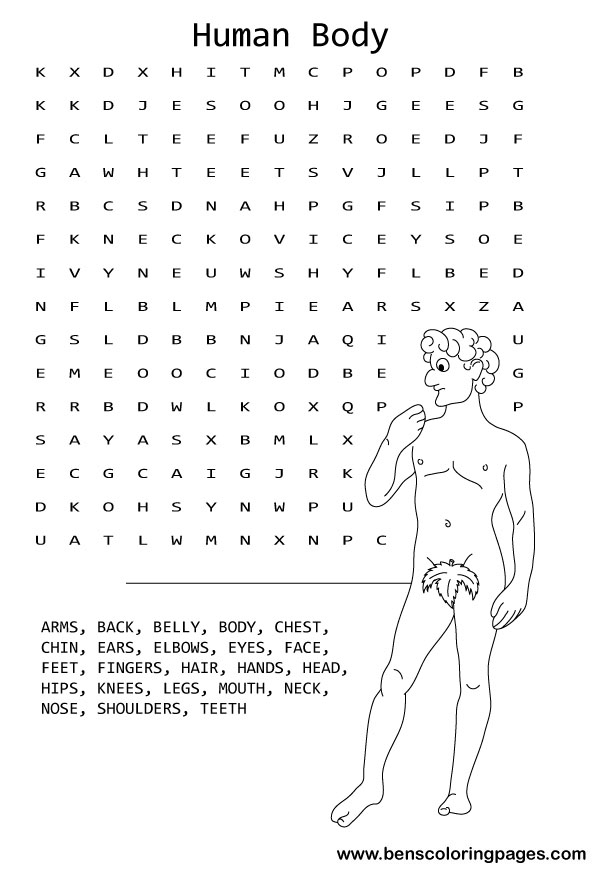 human body kids