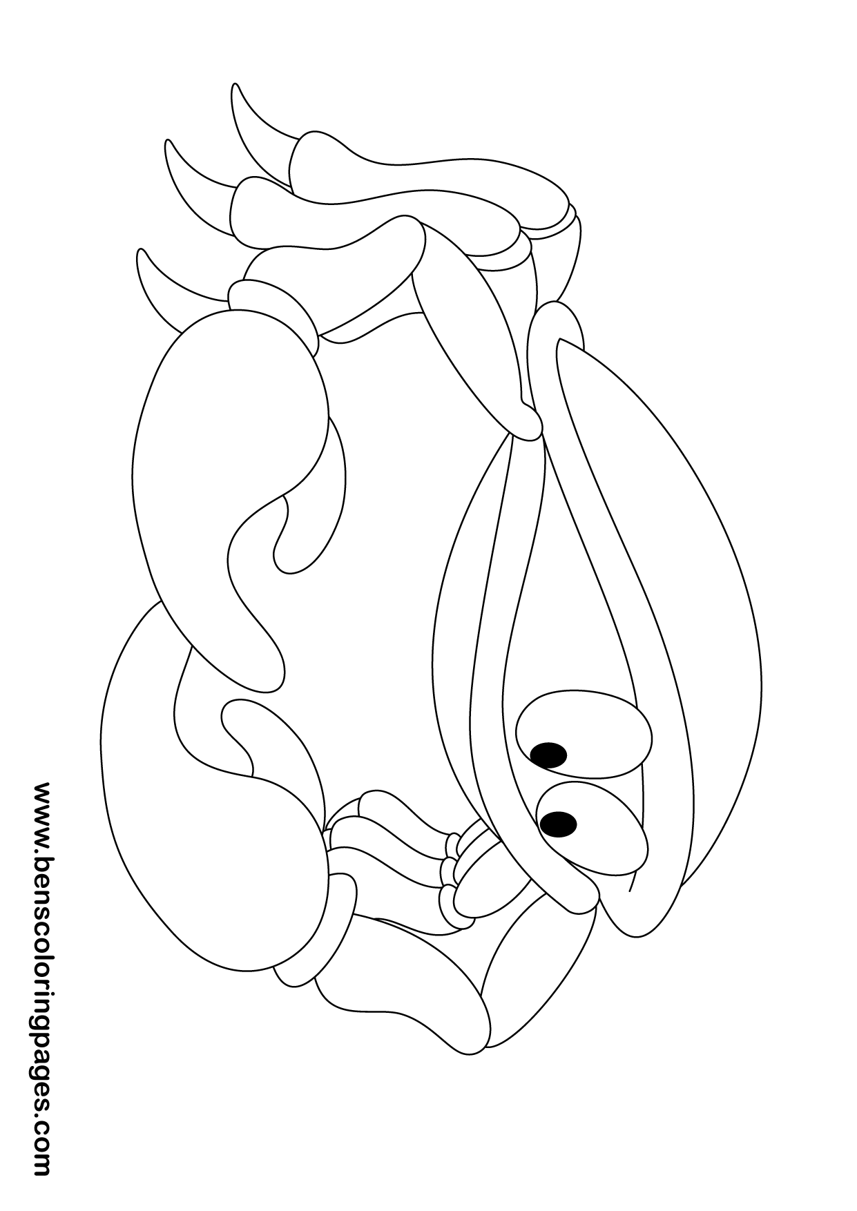 Crab drawing book