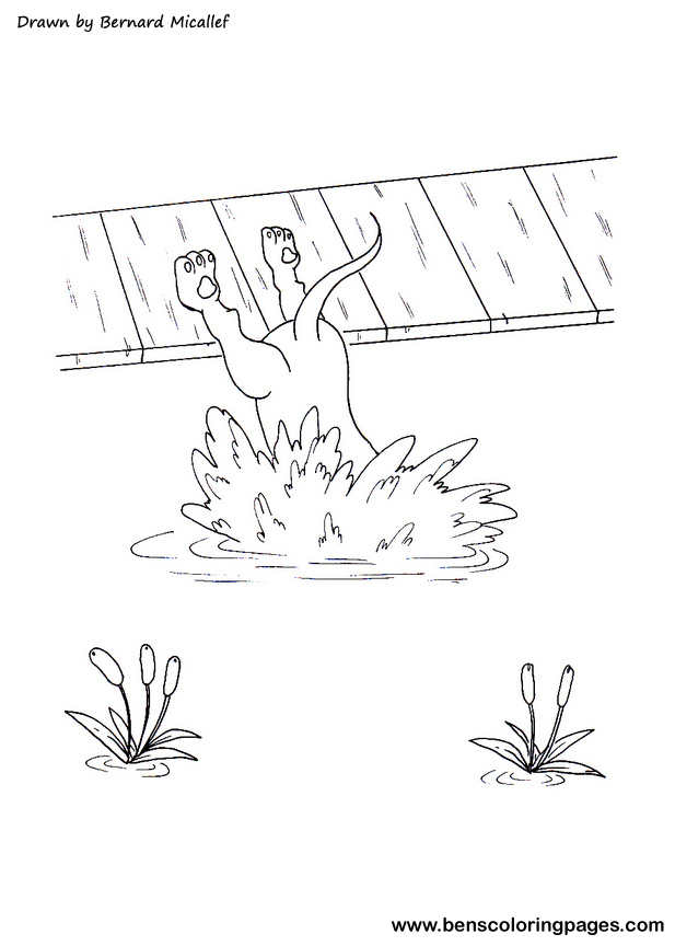 the dog and his shadow coloring story