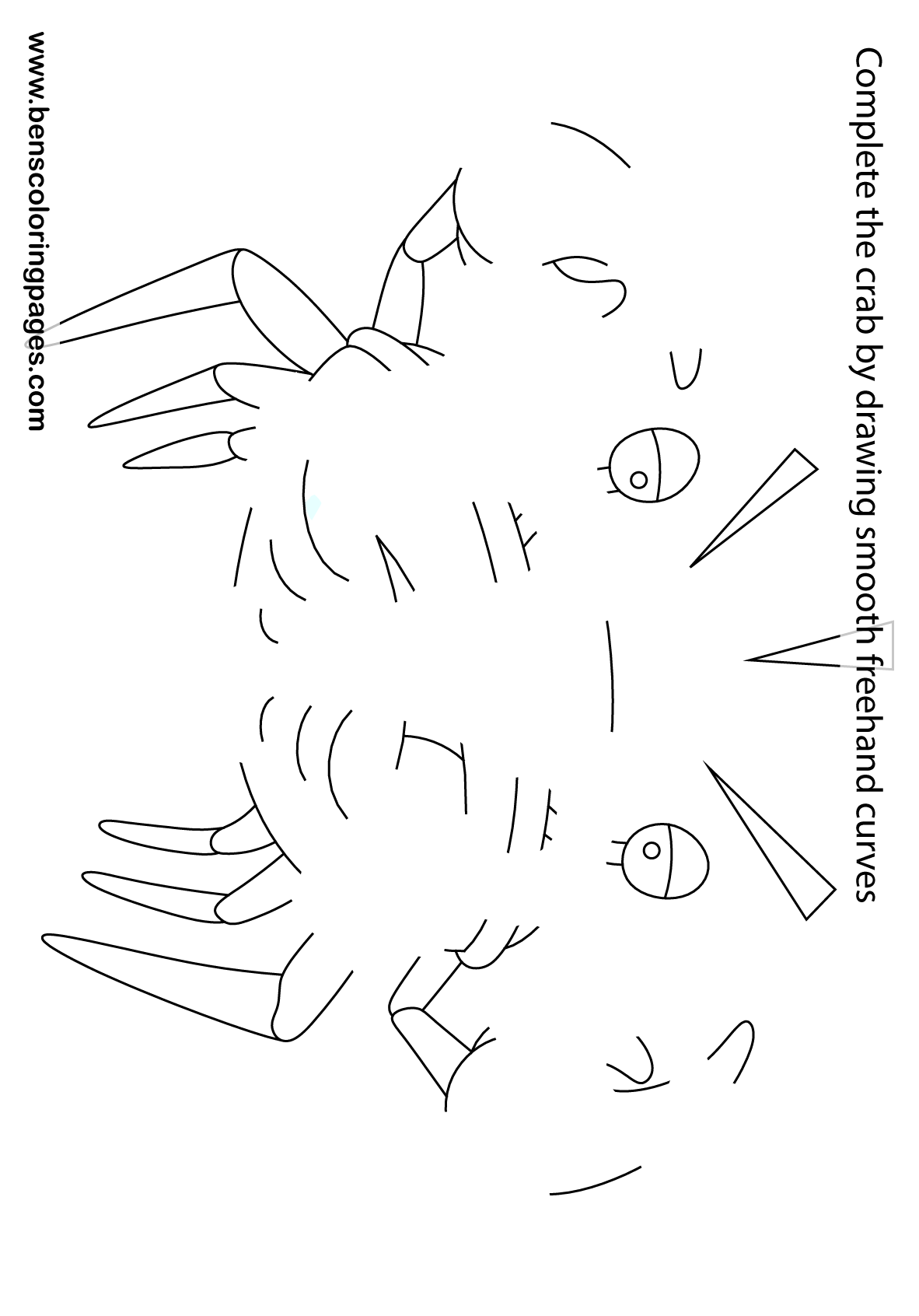 freehand crab drawing