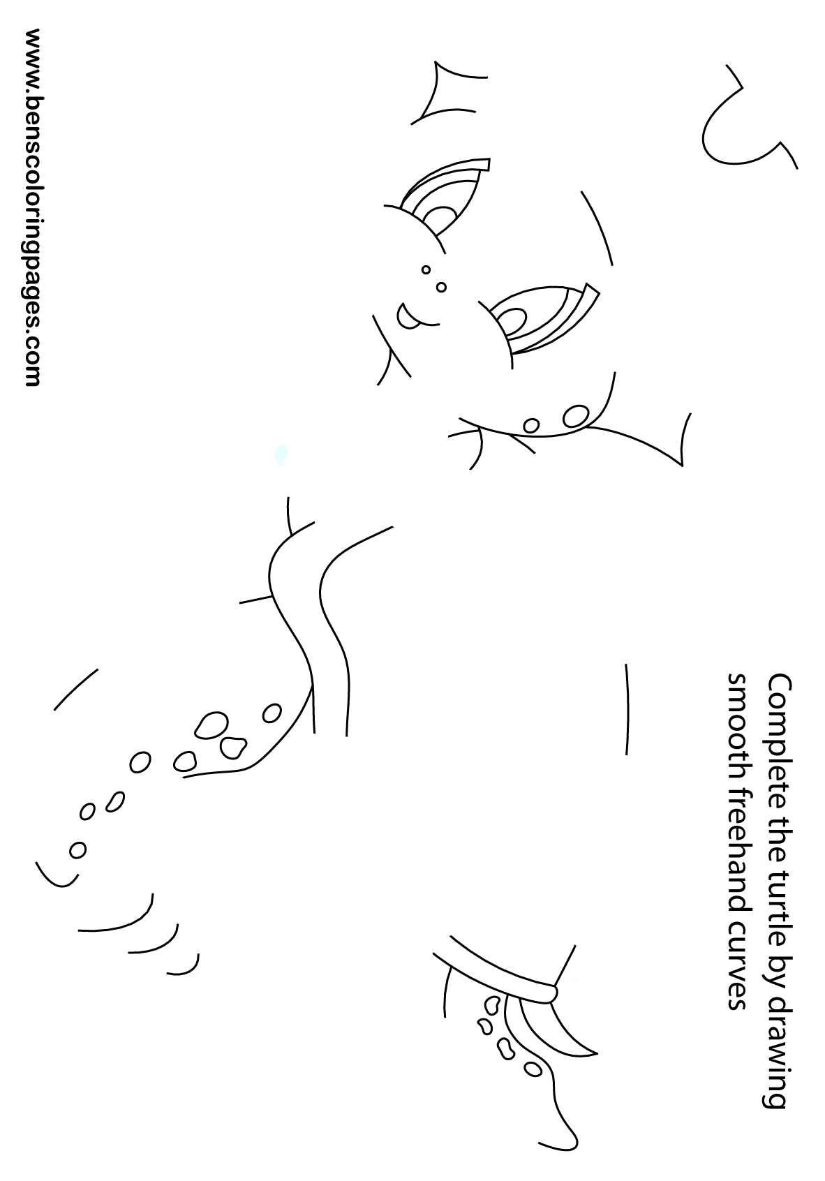 freehand turtle drawing