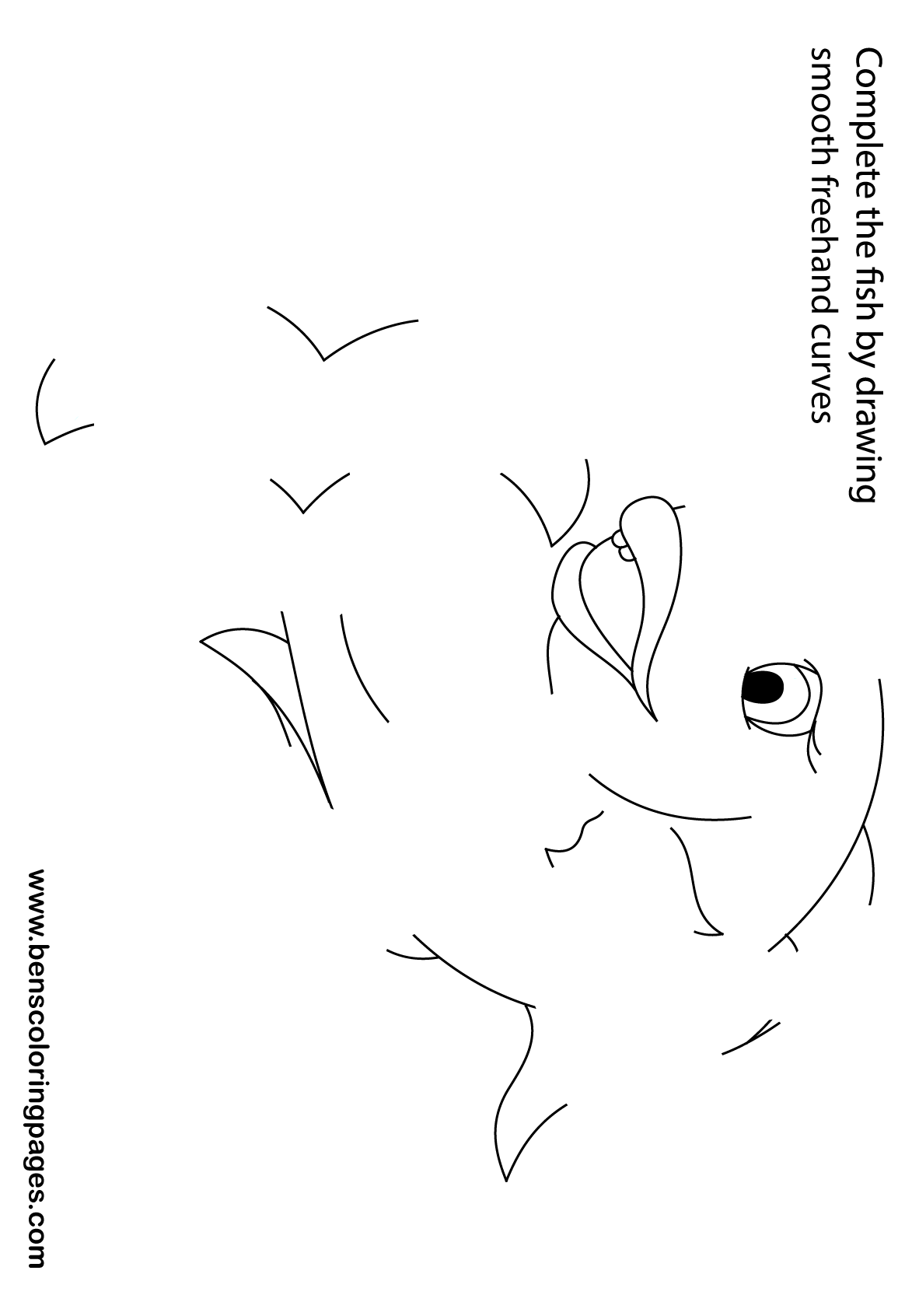 freehand fish drawing